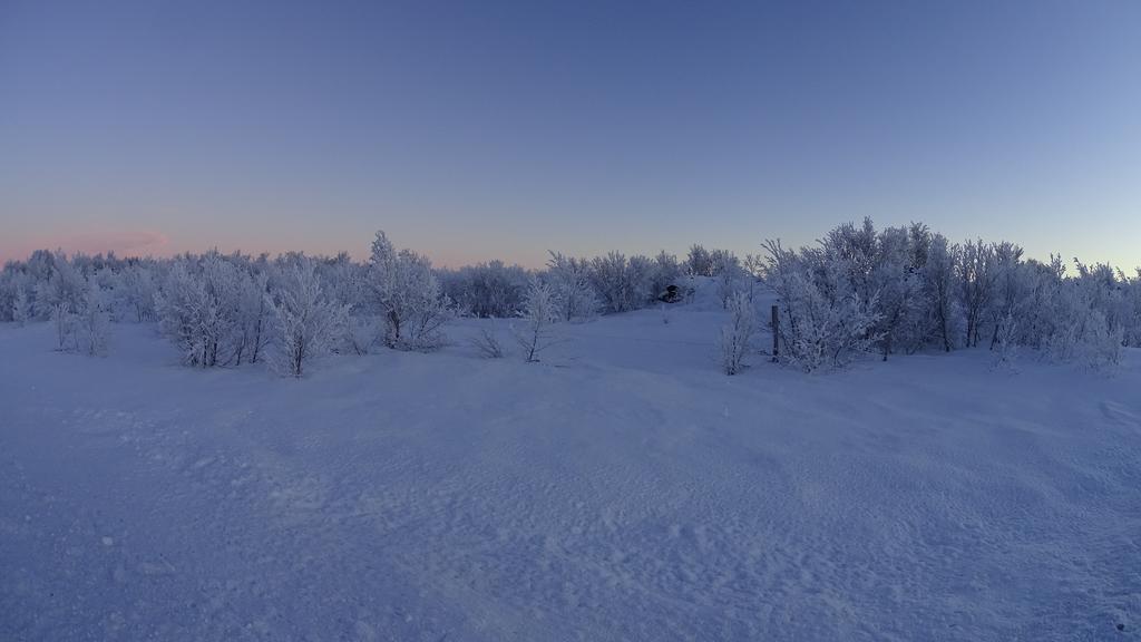 Vogafjos Farm Resort มีวาทน์ ภายนอก รูปภาพ
